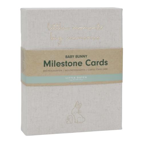 Baby Milestone cards Baby Bunny