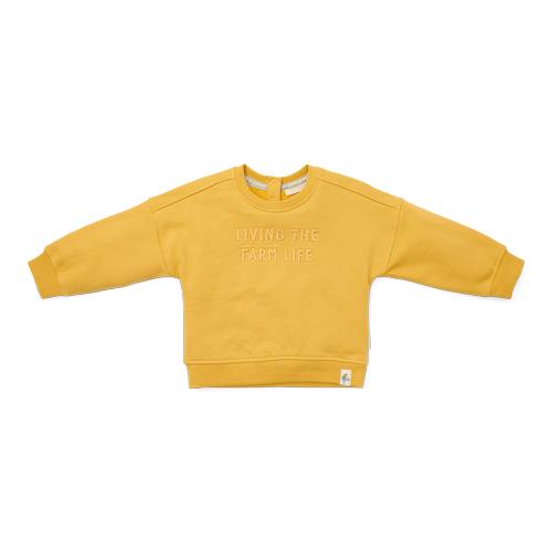 Sweater Mustard Yellow