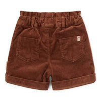 Shorts Walnut Brown