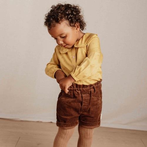 Shorts Walnut Brown