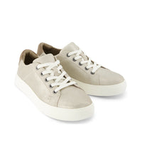 Kameron Lace Up Sneakers Metallic Champagne Suede