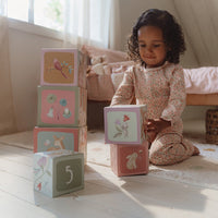 Carton Stacking Blocks Fairy Garden FSC