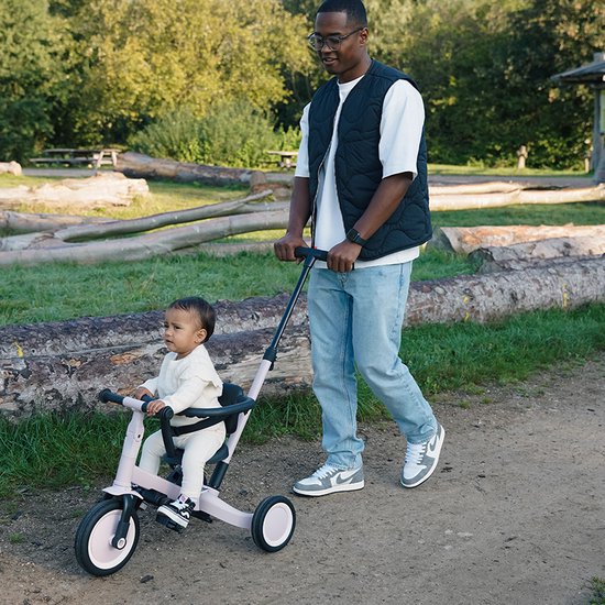 Tricycle with push bar LIO Lilac