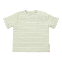 Terry T-shirt short sleeves green Stripes