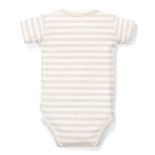 Bodysuit short sleeves Stripe Sand/White