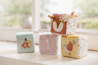 Set of soft cubes Fairy Garden