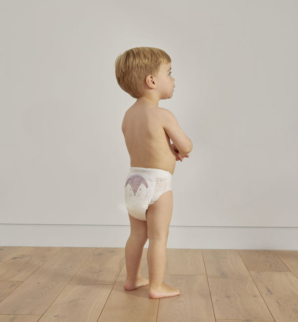 Eco Nappy pants, size 6 Hedgehog & Raccoon 15kg+ (18 pack)