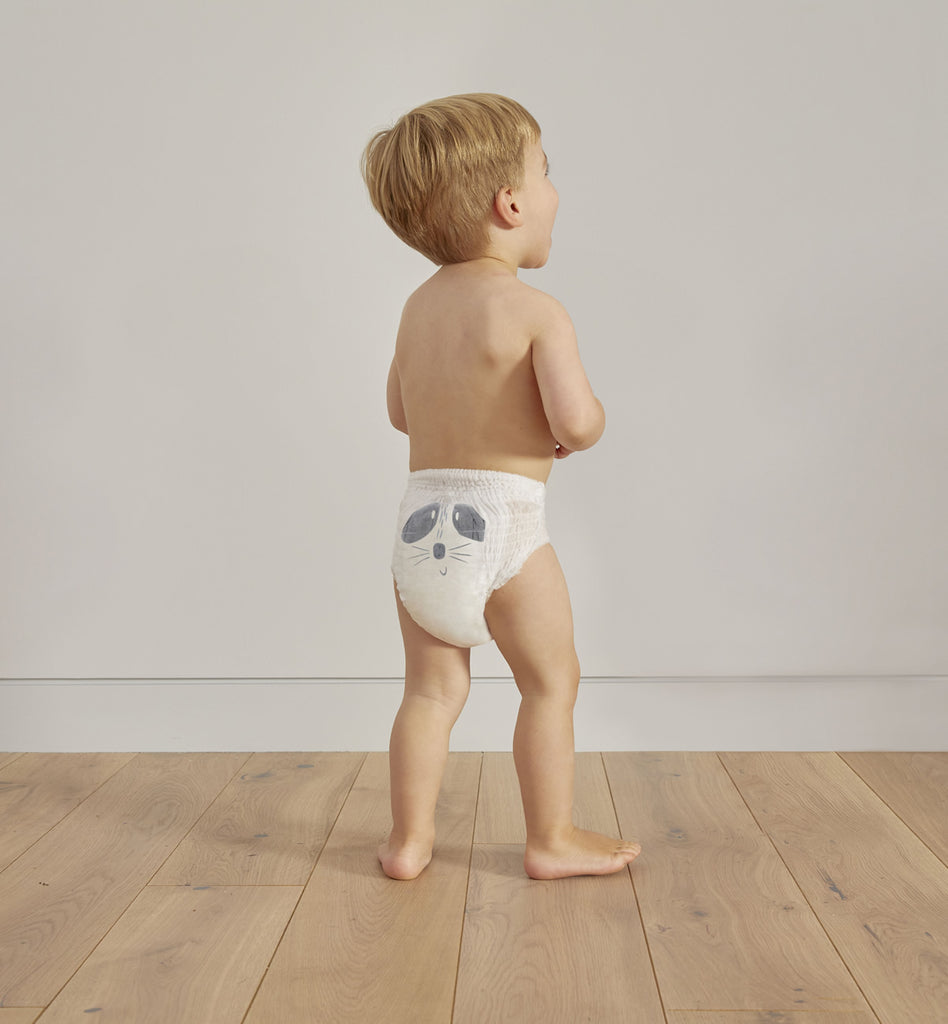 Eco Nappy pants, size 6 Hedgehog & Raccoon 15kg+ (18 pack)