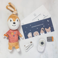 Audio System Music Box Ivy the Rabbit - Gift Box Set