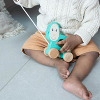 Matchstick Monkey Playtime Pull Along - Monkey