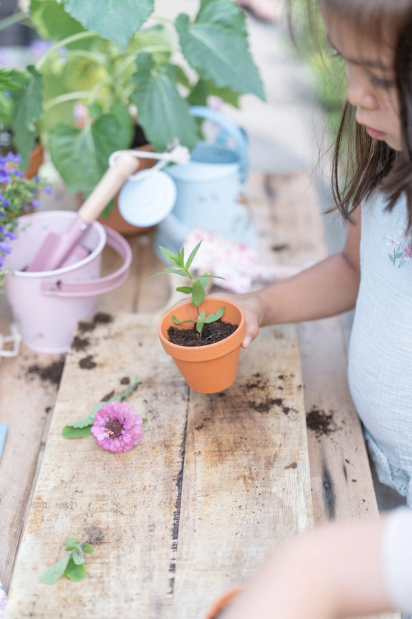 Plant Pot Sunflower