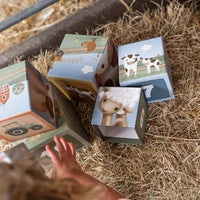 Building Blocks cardboard Little Farm