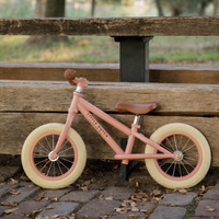 Balance bike - Matt Pink