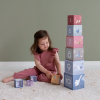 Stacking blocks Little Goose cardboard