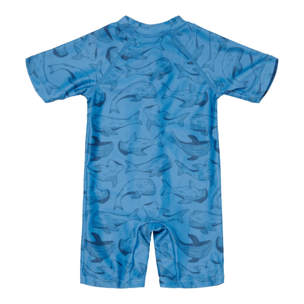 Swimsuit short sleeves Sea Life Blue