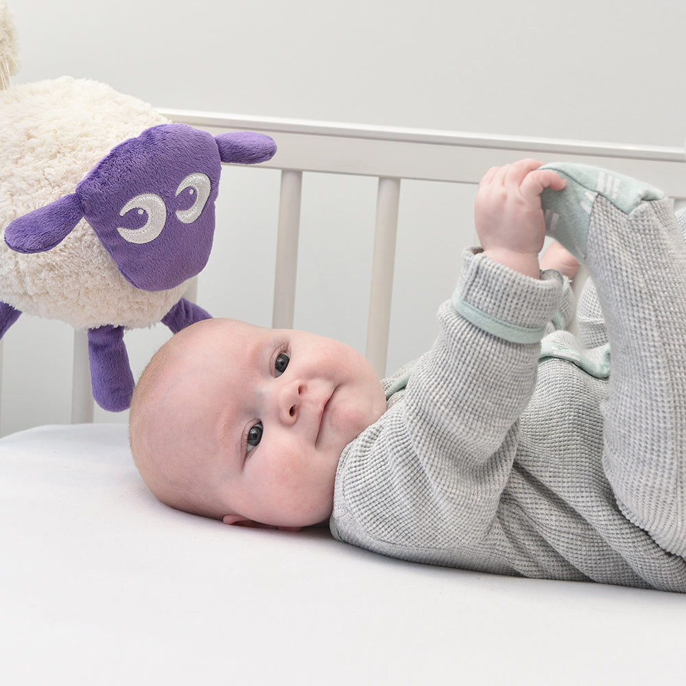 Ewan the best sale sheep baby soother